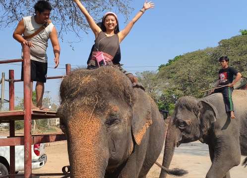 象乗り体験_お世話体験ツアー
