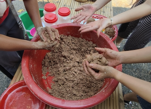 象乗り体験_お世話体験ツアー