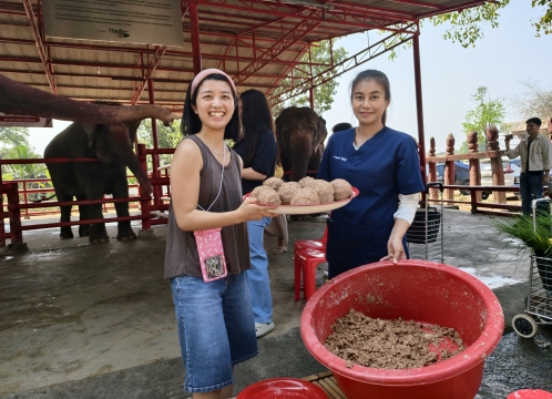 象乗り体験_お世話体験ツアー