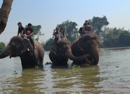 象乗り体験_お世話体験ツアー