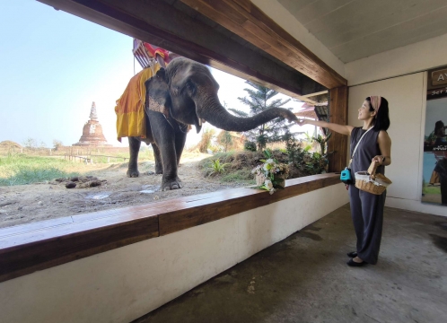 世界遺産アユタヤを自由に観光