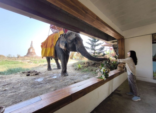 象さんが遊びに来るカフェ