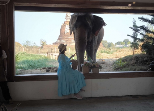 象さんが遊びに来るカフェ