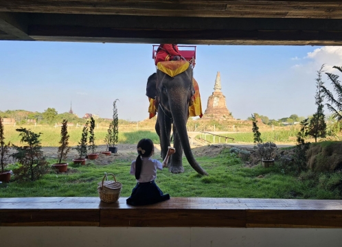 象さんが遊びに来るカフェ