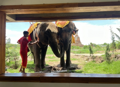 象さんが遊びに来るカフェ