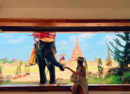 象さんが遊びに来るカフェ