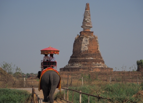 アユタヤ象乗り体験