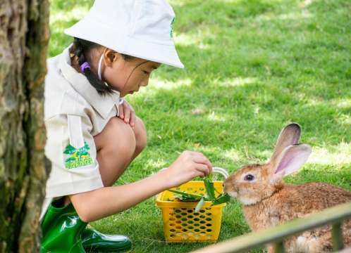 ヴィンワンダーズナムホイアン