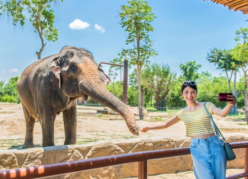 ヴィンワンダーズナムホイアン