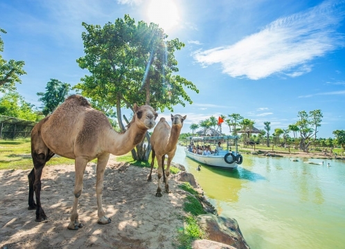 ヴィンワンダーズナムホイアン