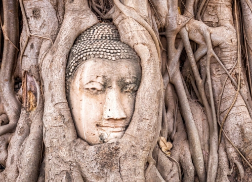 世界遺産アユタヤ直通送迎