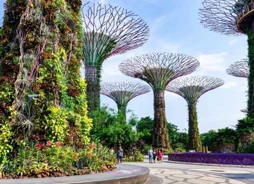 ガーデンズバイザベイ