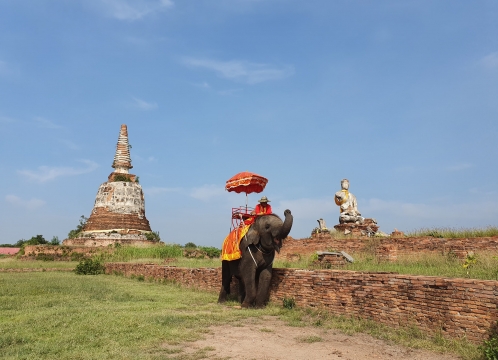 世界遺産アユタヤを自由に観光