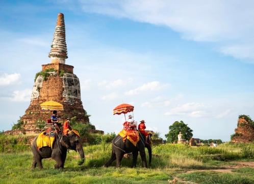 アユタヤ象乗り体験