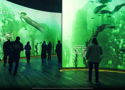 ハリー・ポッター_ビジョンズ・オブ・マジック