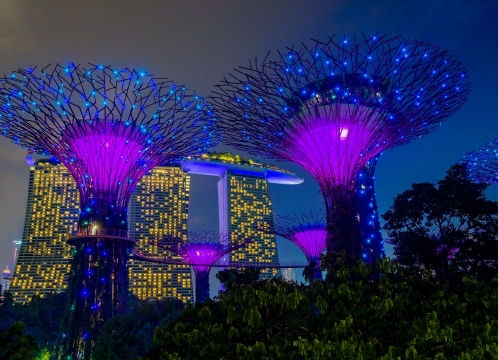 ガーデンズバイザベイで光と音が織りなす幻想的なショー_ガーデンラプソディ