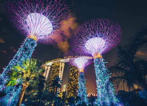 ガーデンズバイザベイで光と音が織りなす幻想的なショー_ガーデンラプソディ