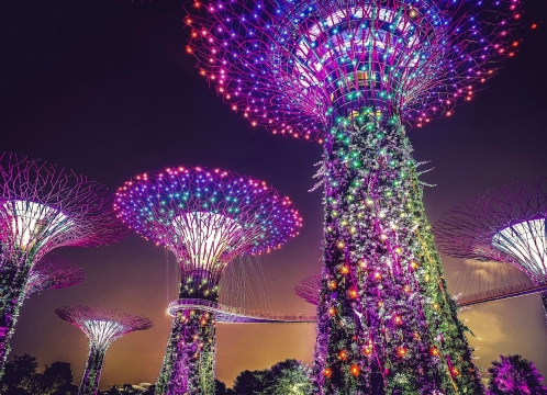 ガーデンズバイザベイ_ガーデンラプソディー