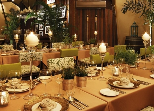 ナイトサファリ_イブニング・イン・ザ・ワイルド