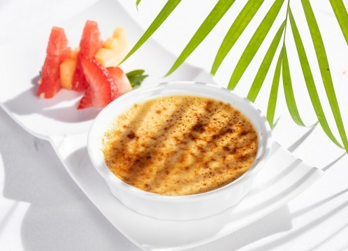 ナイトサファリ_イブニング・イン・ザ・ワイルド