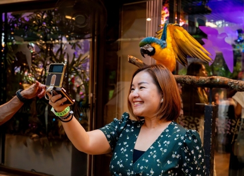 ナイトサファリ_イブニング・イン・ザ・ワイルド