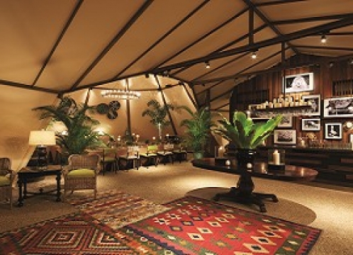 ナイトサファリ_イブニング・イン・ザ・ワイルド