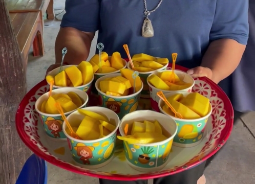 完熟マンゴー試食