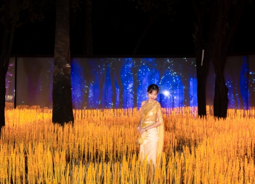 タイ伝統衣装フォト×イルミネーション