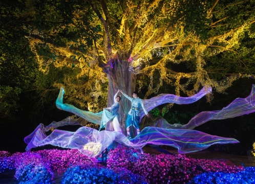 タイ伝統衣装フォト×イルミネーション