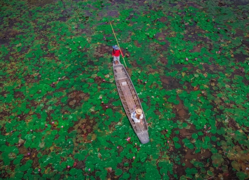 レッドロータス水上マーケット