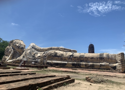 ワットロカヤスター