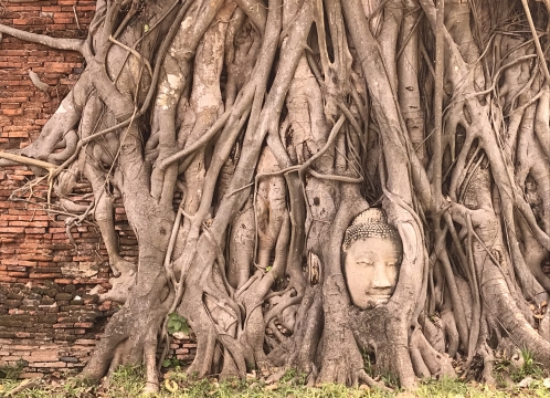 世界遺産アユタヤ＿ワットマハタート