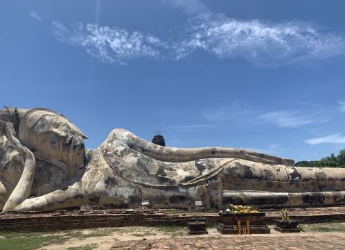 ワットロカヤスター