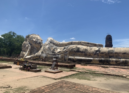 ワットロカヤスター