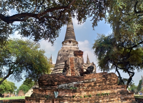 ワットプラシーサンペット