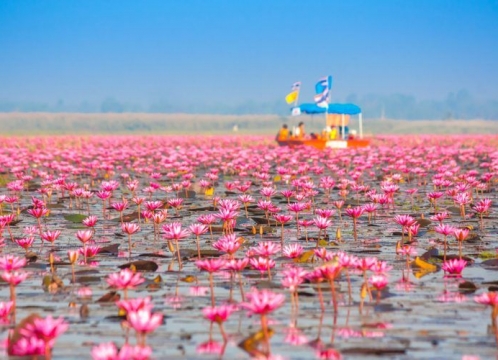 タレーブアデーン（赤い睡蓮の海）