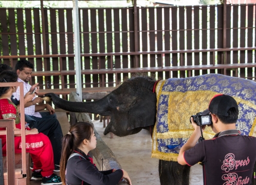 エレファントショー