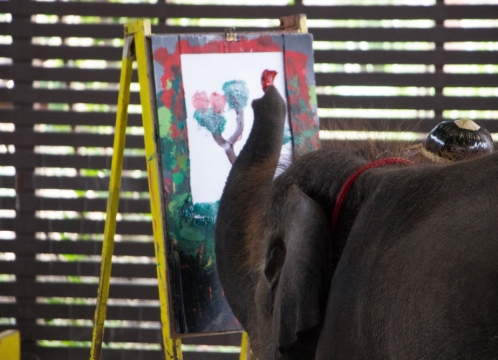 エレファントショー