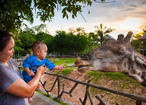 カオキアオ動物園