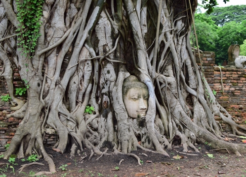 世界遺産アユタヤ観光_ワットマハタート