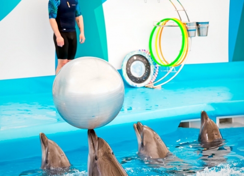 ドルフィナリウムパタヤ