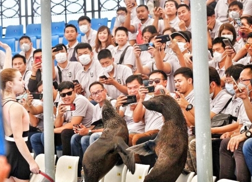 ドルフィナリウムパタヤ