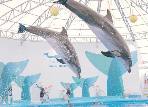ドルフィナリウムパタヤ