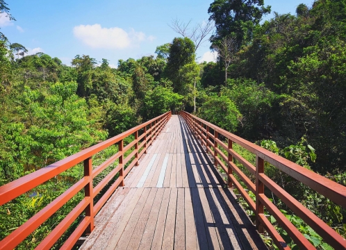 トレッキングコース