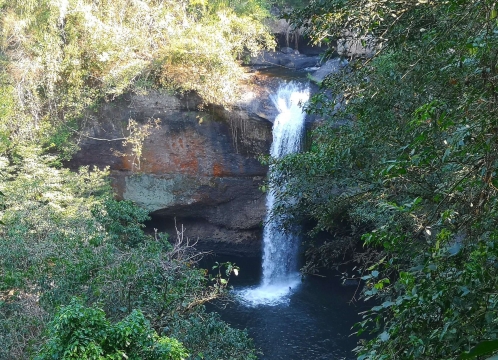 トレッキングコース