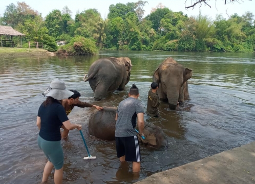 エレファントワールドでボランティア活動