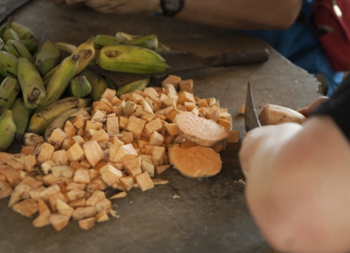 エレファントワールドでボランティア活動