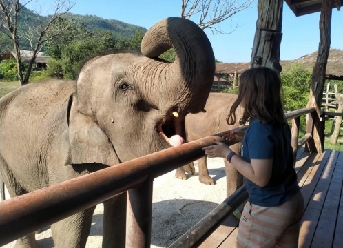 エレファントワールドでボランティア活動