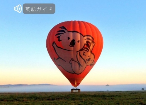 ホットエアー 熱気球乗船体験の早朝ツアー