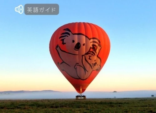 ホットエアー 熱気球乗船体験の早朝ツアー